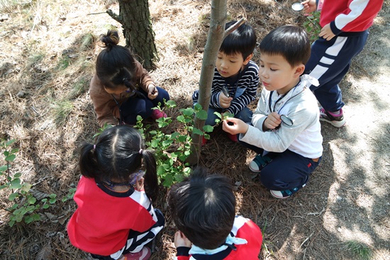 4월 아산삼광어린이집 '싹, 싹, 싹이 났어요.'